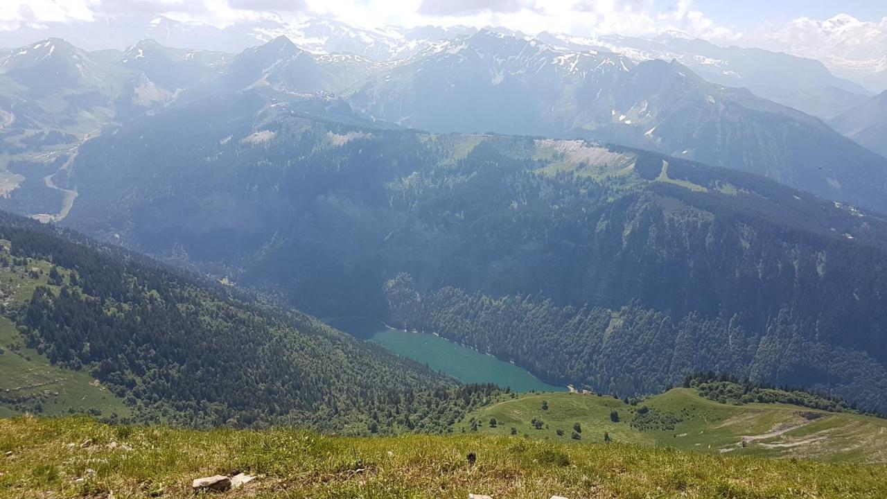 Appartement Proche Morzine Centre Et Remontees Mecaniques - Oree De Morzine 24A Montriond Εξωτερικό φωτογραφία
